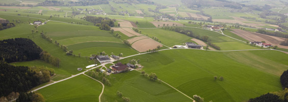 Partnersuche raum amstetten
