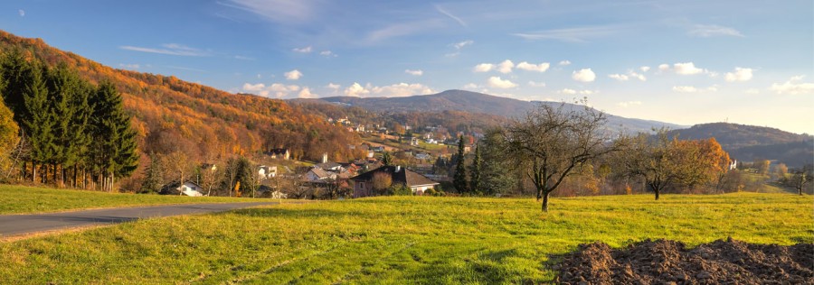 Wein u. Thermenregion SO 01 panoram