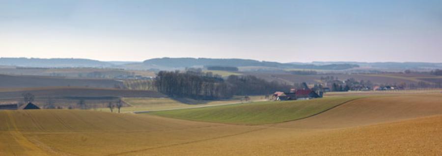 Region242637.jpg