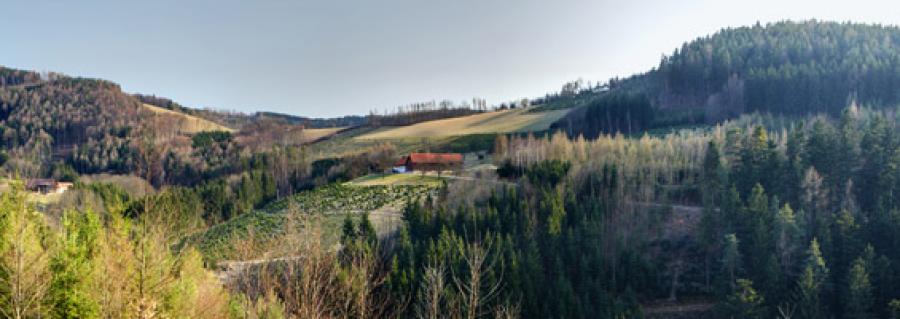 Region243086.jpg