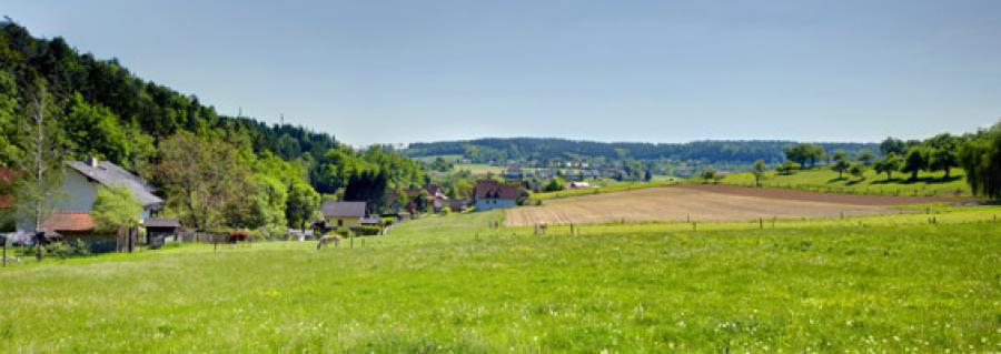 Region243118.jpg
