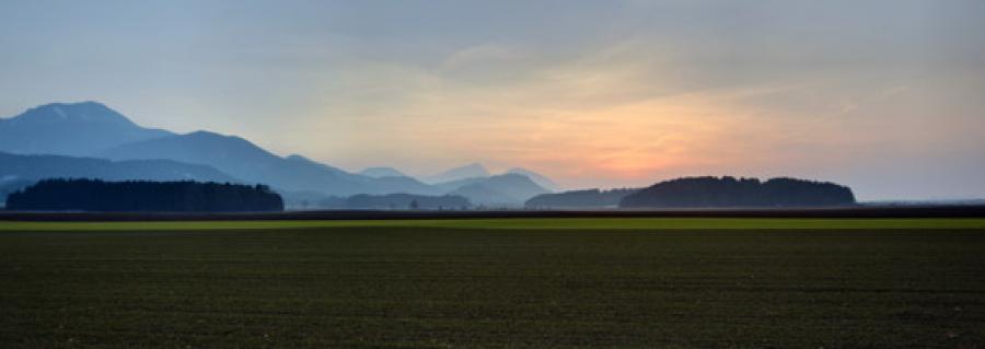 region242653.jpg
