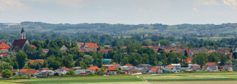 region242660.jpg