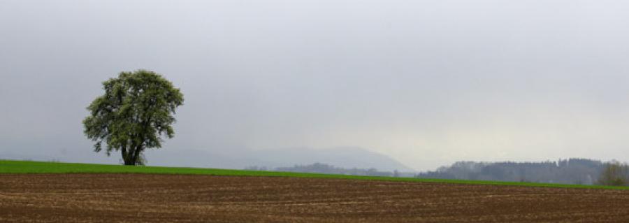 region242724.jpg