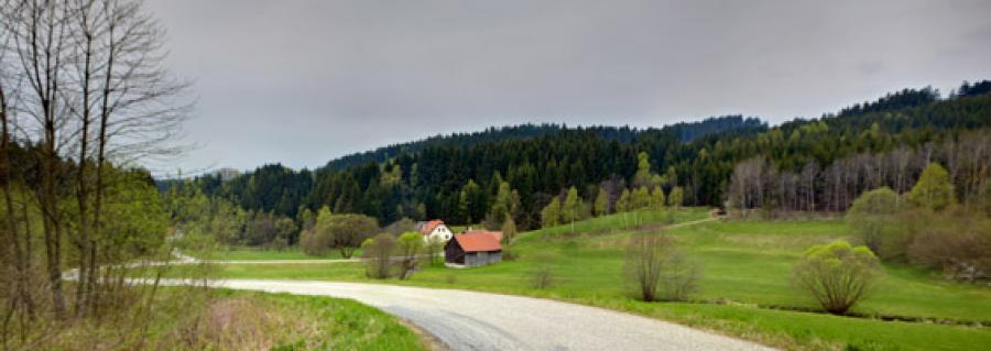 region243082.jpg