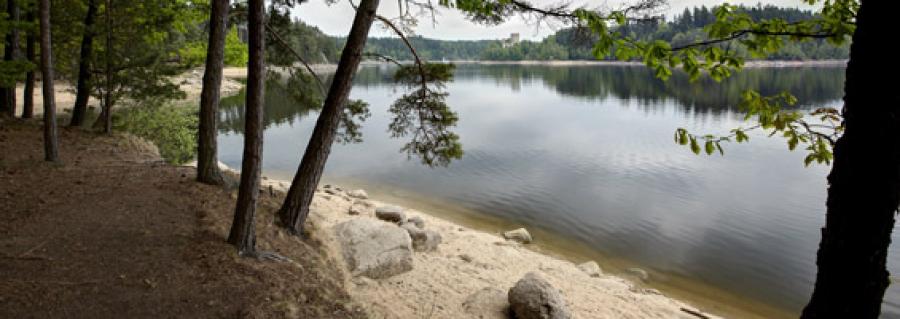 region243083.jpg