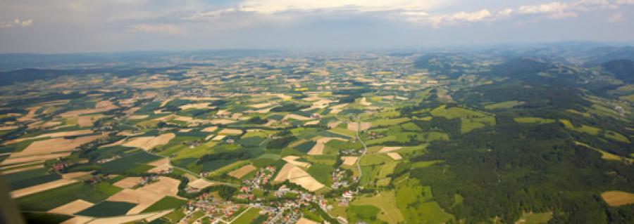 region243084.jpg