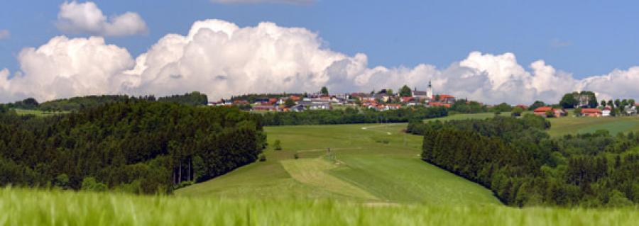 region243094.jpg