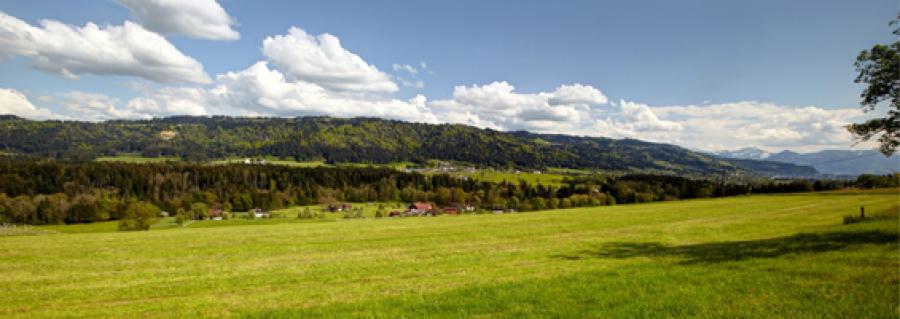 region248076.jpg