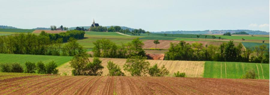region248087.jpg
