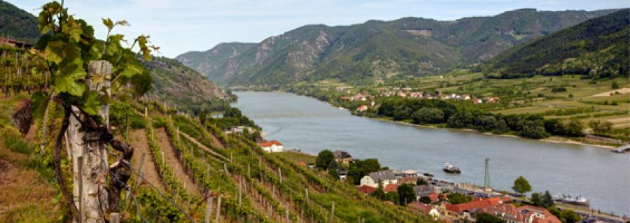 region248145.jpg