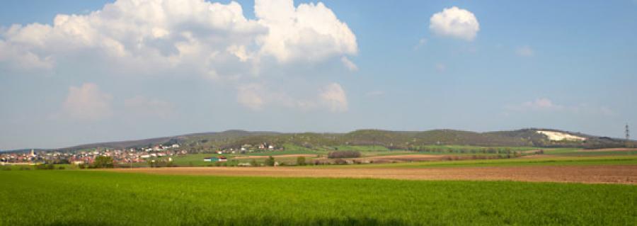 region252611.jpg