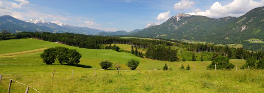 region252963.jpg