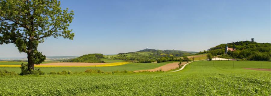 region253752.jpg